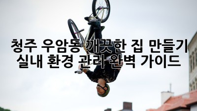 청주 우암동 깨끗한 집 만들기: 실내 환경 관리 완벽 가이드