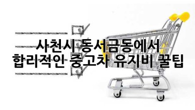 사천시 동서금동에서 합리적인 중고차 유지비 꿀팁🍯